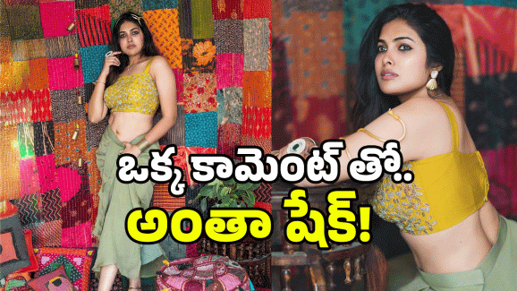 Divi Vadthya: నెటిజన్ పాడు కామెంట్.. అది కూడా తిను అంటూ దివి రిప్లై..