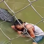 Selfie with crocodile: బొమ్మ అనుకుని సెల్ఫీ.. మొసలి నోటికి చిక్కి