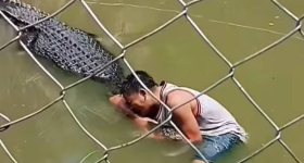 Selfie with crocodile: బొమ్మ అనుకుని సెల్ఫీ.. మొసలి నోటికి చిక్కి