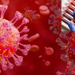 Corona Virus : కరోనా డబుల్ అటాక్.. కేసులు రప్పారప్పా..