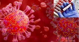 Corona Virus : కరోనా డబుల్ అటాక్.. కేసులు రప్పారప్పా..