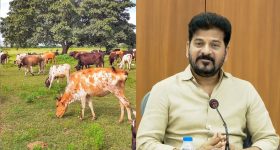Actress Kalpika: గచ్చిబౌలి పబ్‌లో హీరోయిన్ కల్పికపై దాడి... అర్ధరాత్రి అసలేం జరిగిందంటే ?