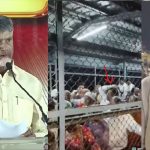 TTD : తిరుమలలో భక్తుడి గొడవ.. వైసీపీ కుట్ర? సీఎం వార్నింగ్