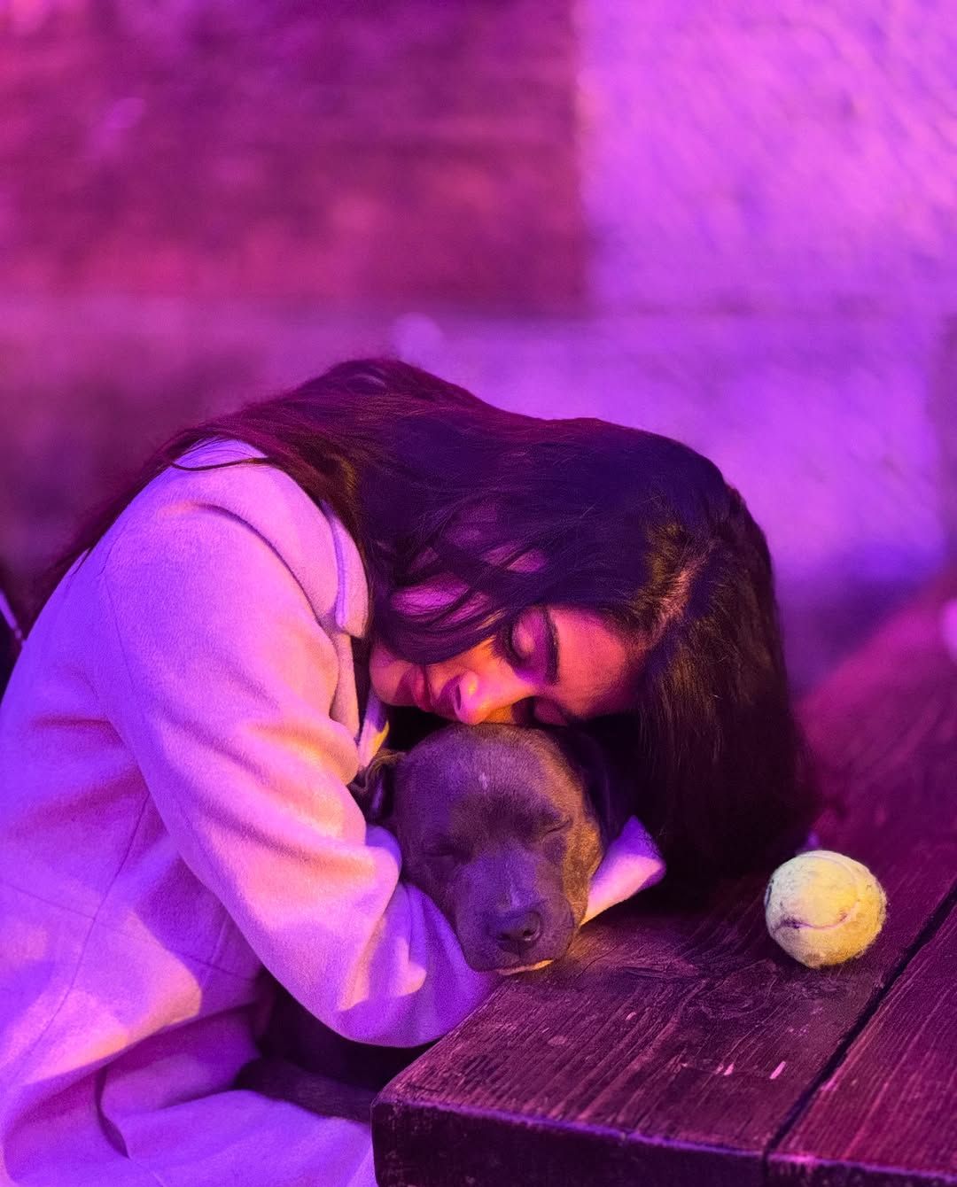 Pooja Hegde: పెట్ పై ప్రేమ ఒలకబోస్తున్న పూజా.. కొంచెం అప్పటి వరకూ దాచుకోమ్మా..!