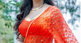 Vishnu Priya: చీరలో కవ్విస్తూ.. కొంగు చాటు అందాలను ఆరబోసిన విష్ణుప్రియ