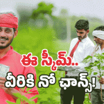 Annadata Sukhibhava Scheme: ఖాతాల్లో రూ. 20 వేలు.. వీరందరూ అనర్హులే!