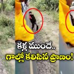 Viral Video: రన్నింగ్ ట్రైన్ కు వేలాడుతూ స్టంట్స్, జారిపడి స్పాట్ లోనే.. నెట్టింట వీడియో వైరల్!