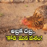 Viral Video: ఏంటీ.. ఆ గీతను చూస్తే కోళ్లు స్పృహ తప్పుతాయా? మీరు ట్రై చేశారా?