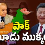China – Pakistan: పాకిస్తాన్ మూడు ముక్కలుగా విడిపోనుందా? చైనా మాస్టర్ ప్లాన్