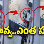 Vijayawada: ప్రభుత్వ ఆఫీసులో కామక్రీడలు.. ఆ ఉద్యోగి ఏకాంతానికి బ్రేక్.. ఆపై బుక్కయ్యాడు