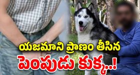 OTT Movie : భర్తను చంపి అందులో మునిగిపోయే జంట... ఈ సినిమాను ఒంటరిగానే చూడండయ్యా