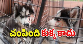 Kiara advani: బేబీ బంప్ తో దర్శనమిచ్చిన కియారా.. ఎంత క్యూట్ కదా..!