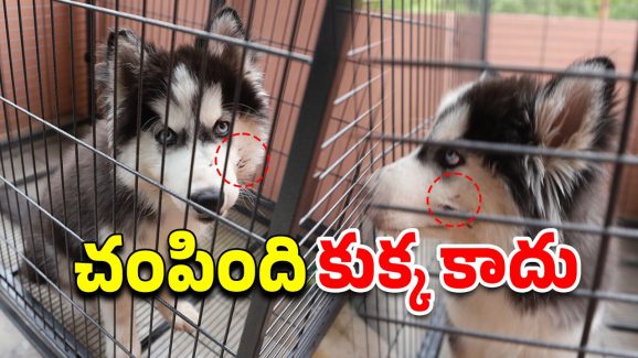Hyderabad News: మధురానగర్ కేసులో సంచలన నిజాలు.. అసలు జరిగింది ఇదీ?