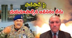 India Pakistan War: పాకిస్తాన్‌ని ఉగ్రవాద దేశంగా అమెరికా ప్రకటించాలి.. పెంటగాన్ అధికారి