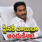 YCP Plenary Meeting: ప్లీనరీ వాయిదా.. జగన్ ప్లాన్ అదేనా?