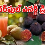 Fig Juice Summer: వేసవిలో కూల్ కూల్.. అంజీర పండు జ్యూస్‌‌తో ఎన్ని ఆరోగ్య లాభాలో