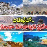 Ladakh Tour: లడఖ్‌‌.. జీవితంలో ఒక్కసారైనా చూడాల్సిన ప్లేస్, ఎందుకంత స్పెషల్ అంటే ?