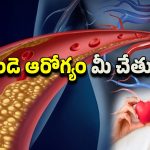 Heart Attack Prevention: గుండె పోటు నివారణకు ప్రకృతిపరమైన చిట్కాలు.. ఇలా చేస్తే చెడు కొలెస్ట్రాల్ క్లీన్