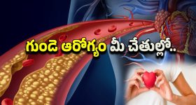 Heart Attack Prevention: గుండె పోటు నివారణకు ప్రకృతిపరమైన చిట్కాలు.. ఇలా చేస్తే చెడు కొలెస్ట్రాల్ క్లీన్