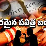 Couple Divorce: పెళ్ళి అయ్యాక.. చిన్న చిన్న గొడవలకే విడిపోతున్నారా?