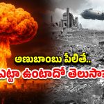 Nuclear Weapons : ఒక్క అణుబాంబు.. లక్షల్లో మరణాలు.. జపాన్‌లో అప్పుడు ఏం జరిగిందో తెలుసా?