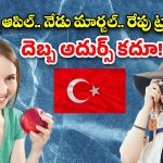 Boycott Turkey: టర్కీ టూరిజం ఢమాల్.. దారినపోయే దరిద్రాన్ని తగిలించుకుంటే ఇంతే!