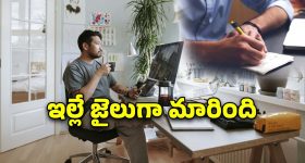 Techie Work From Home: వర్క్ ఫ్రమ్ హోంతో సమస్యలు.. ఆఫీసుకే వస్తా.. టెకీ నిర్ణయంపై సోషల్ మీడియాలో చర్చ