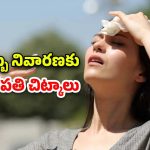 Heatstroke Herbal Remedies: వేసవిలో వడదెబ్బ సమస్య.. నివారణకు ప్రకృతిపరమైన చిట్కాలు ఇవిగో