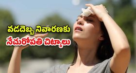 Heatstroke Herbal Remedies: వేసవిలో వడదెబ్బ సమస్య.. నివారణకు ప్రకృతిపరమైన చిట్కాలు ఇవిగో