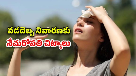 Heatstroke Herbal Remedies: వేసవిలో వడదెబ్బ సమస్య.. నివారణకు ప్రకృతిపరమైన చిట్కాలు ఇవిగో