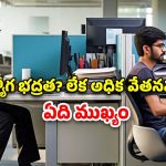Job Security: ప్రభుత్వ ఉద్యోగమా లేక సాఫ్ట్‌వేర్ ఉద్యోగమా.. ఏది బెటర్?