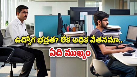 Job Security: ప్రభుత్వ ఉద్యోగమా లేక సాఫ్ట్‌వేర్ ఉద్యోగమా.. ఏది బెటర్?