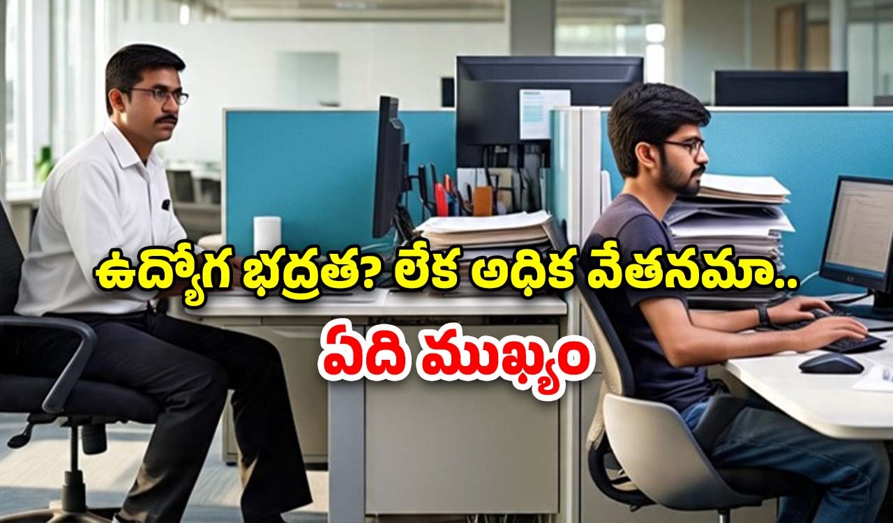 Job Security: ప్రభుత్వ ఉద్యోగమా లేక సాఫ్ట్‌వేర్ ఉద్యోగమా.. ఏది బెటర్?