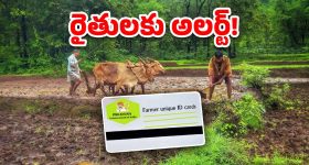 AP Free Bus Scheme: ఏపీలో ఉచిత బస్సు పథకం.. రేపో మాపో అధికారుల నివేదిక