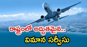 CSK Fans : ఐపీఎల్ లో మరో ధోని... అచ్చు గుద్దేశాడుగా