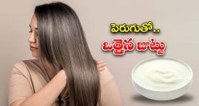 Apollo Fish: అపోలో చేపకు ఆ పేరు ఎలా వచ్చిందో తెలుసా?