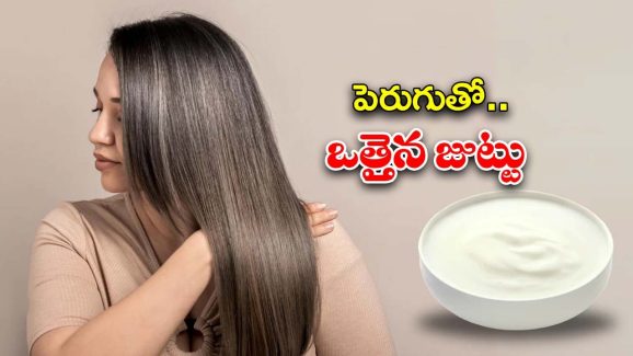 Curd For Hair Growth: పెరుగు ఇలా వాడితే.. జుట్టు రాలడం తగ్గి, ఒత్తుగా పెరుగుతుంది తెలుసా ?