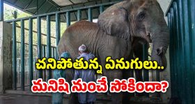 Today Gold Rate: బాబోయ్.. బంగారం ఒక్కసారే ఇంత పెరిగిందేంటి..?