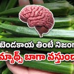 Ladies Finger: బెండకాయకు, బ్రెయిన్‌కు ఉన్న లింక్ ఏంటో తెలుసా?