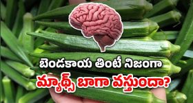 Ladies Finger: బెండకాయకు, బ్రెయిన్‌కు ఉన్న లింక్ ఏంటో తెలుసా?