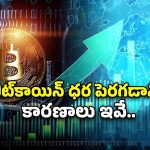 Bitcoin Price Record: బిట్ కాయిన్ ఆల్ టైమ్ రికార్డ్.. మళ్లీ లక్ష పది వేల డాలర్లకు చేరువలో