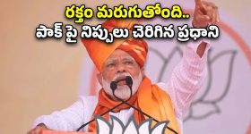 PM Modi Bikaner Speech: పాకిస్తాన్ గుండెలపైన నేరుగా దాడి చేశాం.. బికానేర్ సభలో ప్రధాని మోడీ ఉద్వేగ ప్రసంగం