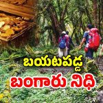 Gold Find: అడవిలో ట్రెక్కింగ్.. వందేళ్ల నాటి బంగారం నిధి, ఏం చేశారంటే..