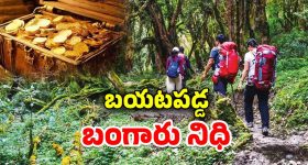 Tejaswini Gowda: సముద్ర తీరాన విహరిస్తున్న తేజస్విని.. ప్రశాంతత కోరుకుంటూ..!