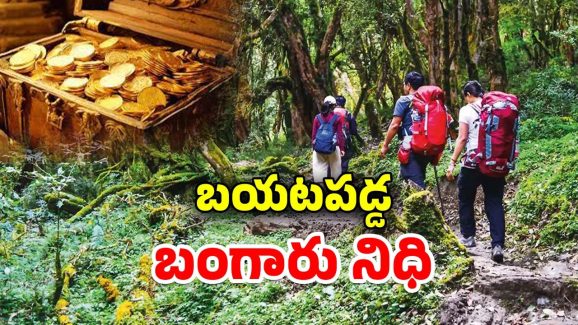 Gold Find: అడవిలో ట్రెక్కింగ్.. వందేళ్ల నాటి బంగారం నిధి, ఏం చేశారంటే..