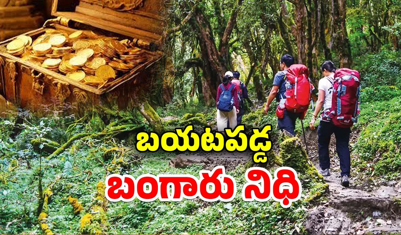 Gold Find: అడవిలో ట్రెక్కింగ్.. వందేళ్ల నాటి బంగారం నిధి, ఏం చేశారంటే..