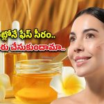 Homemade Serum For Face: ఇంట్లోనే ఫేస్ సీరం.. ఎలా తయారు చేసుకోవాలో తెలుసా ?