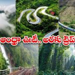 Araku Valley Trip: ఆంధ్రా ఊటీ, అరకు అందాలు చూస్తే.. మైమరచిపోతారంతే !
