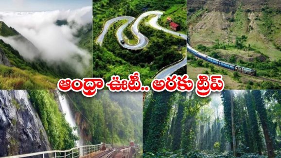 Araku Valley Trip: ఆంధ్రా ఊటీ, అరకు అందాలు చూస్తే.. మైమరచిపోతారంతే !