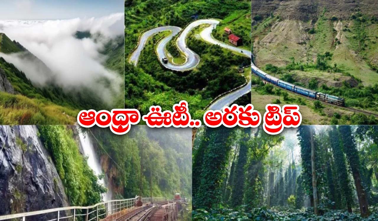 Araku Valley Trip: ఆంధ్రా ఊటీ, అరకు అందాలు చూస్తే.. మైమరచిపోతారంతే !